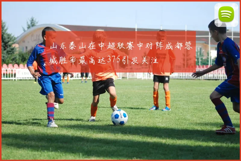 山东泰山在中超联赛中对阵成都蓉城胜率最高达375引发关注